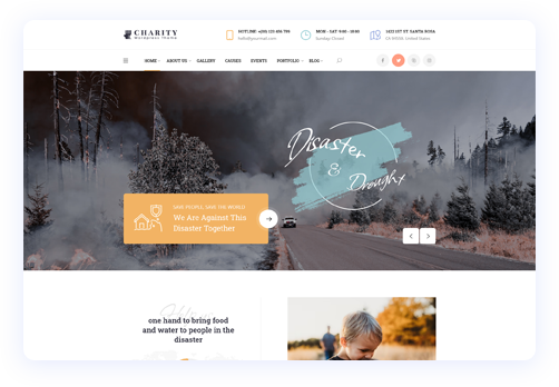 Charity WordPress Theme 3